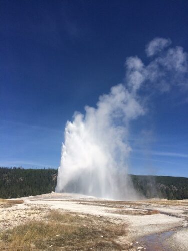 This Land is Your Land: Inspiration from Yellowstone National Park